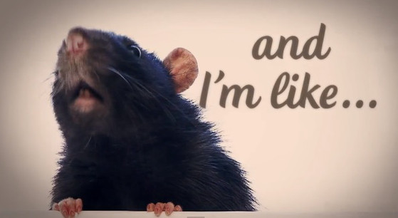 Shakira Nos Pone A Cantar Empire Con Un Particular Lyric Video Video E Online Latino Mx